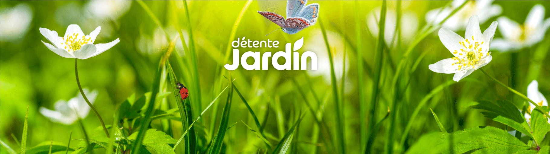 Détente Jardin